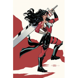 ABSOLUTE WONDER WOMAN  14 CVR C TERRY DODSON CARD STOCK VAR