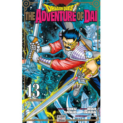 DRAGON QUEST THE ADVENTURE OF DAI T13