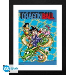 DRAGON BALL TIRAGE CADRE COUVERTURE 30 X 40 CM