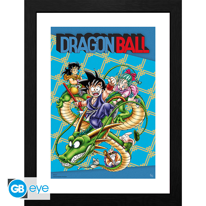 DRAGON BALL TIRAGE CADRE COUVERTURE 30 X 40 CM
