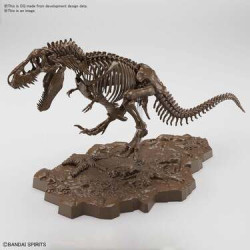 IMAGINARY SKELETON TYRANNOSAURUS MAQUETTE BANDAI 35 CM