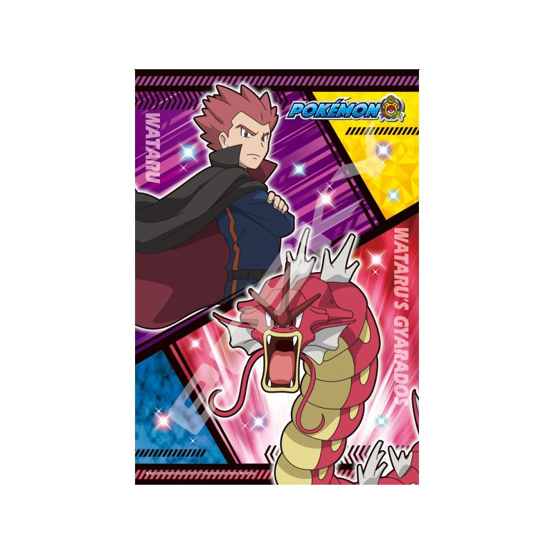 PETER ET LEVIATOR PUZZLE POKEMON 300 PIECES