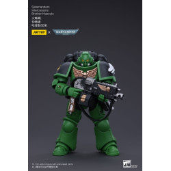SALAMANDERS INTERCESSORS BROTHER HAECULE WARHAMMER 40K FIGURINE 12 CM