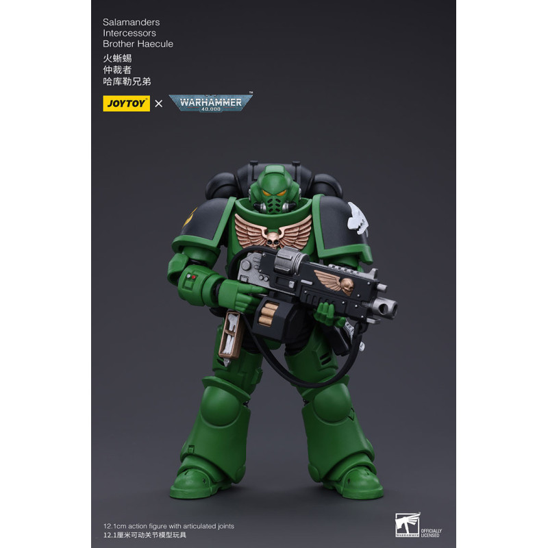 SALAMANDERS INTERCESSORS BROTHER HAECULE WARHAMMER 40K FIGURINE 12 CM