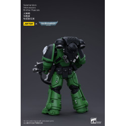 SALAMANDERS INTERCESSORS BROTHER HAECULE WARHAMMER 40K FIGURINE 12 CM