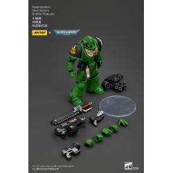 SALAMANDERS INTERCESSORS BROTHER HAECULE WARHAMMER 40K FIGURINE 12 CM