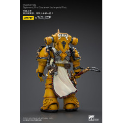 SIGISMUND FIRST CAPTAIN OF THE IMPERIAL FISTS WARHAMMER THE HORUS HERE