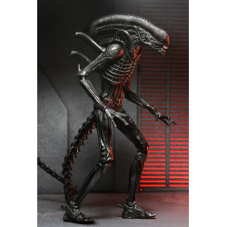 XENOMORPH ULTIMATE ALIEN ROMULUS 7IN SCALE ACTION FIGURE