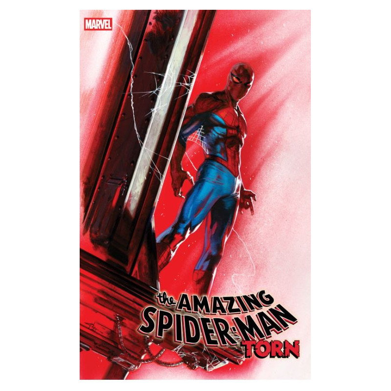 AMAZING SPIDER-MAN TORN 2 CVR B DELL OTTO VAR