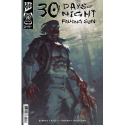 30 DAYS OF NIGHT: FALLING SUN 2 CVR A CHRIS SHEHAN