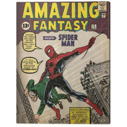 SPIDERMAN ISSUE 1 30 X 40 CM