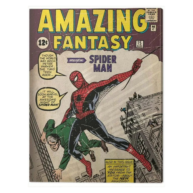 SPIDERMAN ISSUE 1 30 X 40 CM