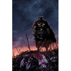 SPAWN THE DARK AGES 3 (OF 6) CVR B MIRKO COLAK VIRGIN VAR