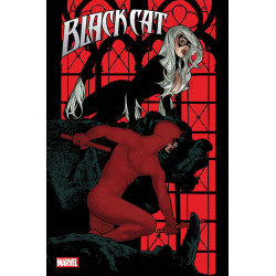 BLACK CAT 6 CVR A ADAM HUGHES
