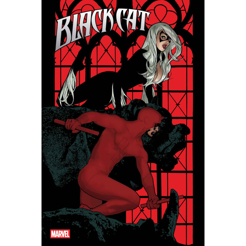 BLACK CAT 6 CVR A ADAM HUGHES
