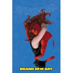 SPIDER-MAN: BRAND NEW DAY OMNIBUS HC VOL 03 CVR B PAOLO RIVERA DIRECT MARKET EXCLUSIVE COVER