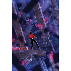 ABSOLUTE FLASH 11 CVR A NICK ROBLES