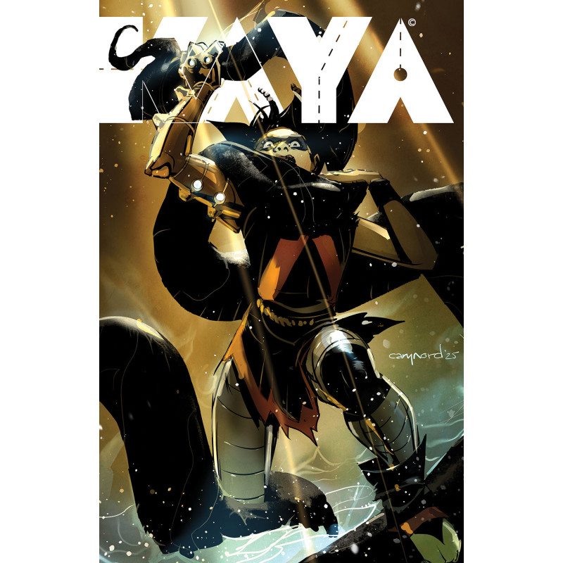 KAYA 33 CVR B CARY NORD VAR