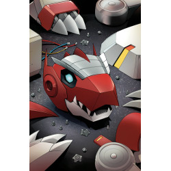 POWER RANGERS PRIME 14 CVR I UNLIMITED VAR