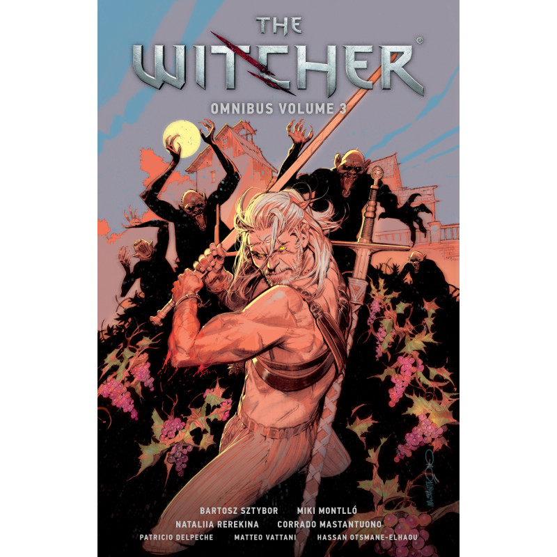 THE WITCHER OMNIBUS TP VOL 03