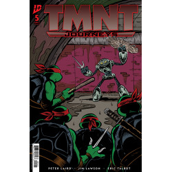 TMNT: JOURNEYS 5 CVR B KEN MITCHRONEY VAR