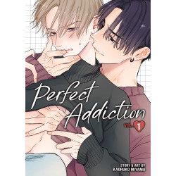 PERFECT ADDICTION GN VOL 01
