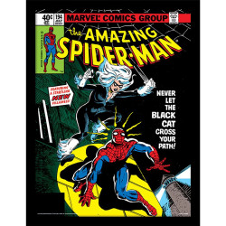 SPIDERMAN BLACK CAT 30 X 40 CM