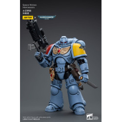 SPACE WOLVES INTERCESSORS WARHAMMER 40K FIGURINE 12 CM