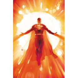 SUPERMAN 35 CVR C ROD REIS CARD STOCK VAR (DC K.O.)