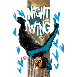 NIGHTWING 135 CVR B DAVE JOHNSON CARD STOCK VAR