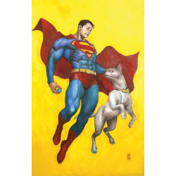 SUPERMAN UNLIMITED 10 CVR D MIKE CHOI CARD STOCK VAR