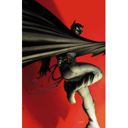 BATMAN GARGOYLE OF GOTHAM 4 (OF 4) CVR F THOBIAS DANELUZ CARD STOCK VAR (MR)