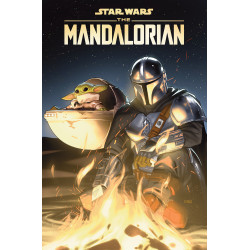 STAR WARS: THE MANDALORIAN SEASONS ONE & TWO TP