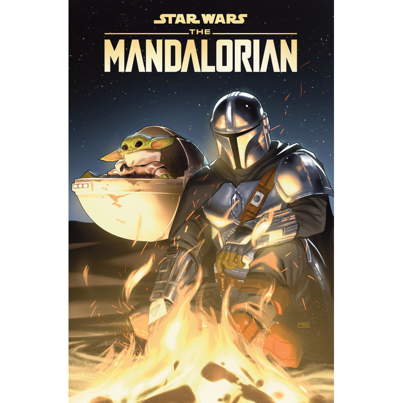 STAR WARS: THE MANDALORIAN SEASONS ONE & TWO TP