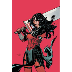 ABSOLUTE WONDER WOMAN 18 CVR B TERRY DODSON CARD STOCK VAR