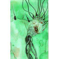 BATMAN 7 CVR B DUSTIN NGUYEN CARD STOCK VAR