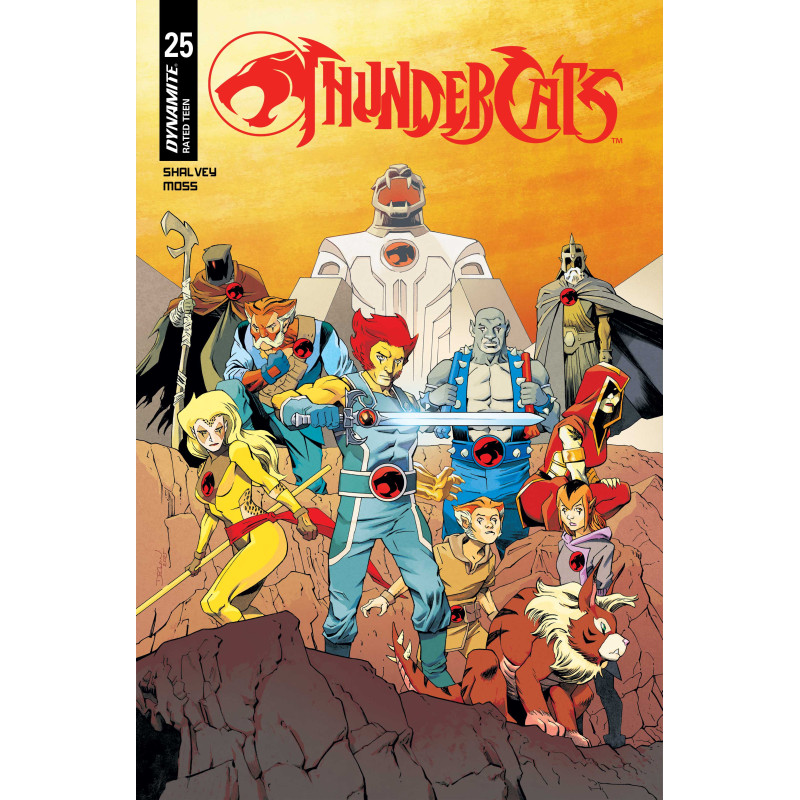 THUNDERCATS 25 CVR B DECLAN SHALVEY VAR