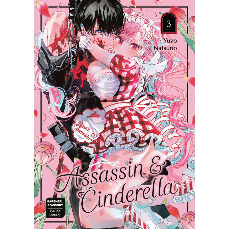ASSASSIN & CINDERELLA GN VOL 03