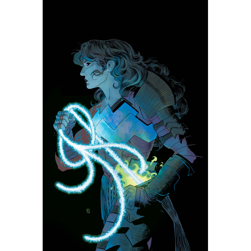 ABSOLUTE WONDER WOMAN 19 CVR A HAYDEN SHERMAN