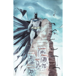 BATMAN 8 CVR B DUSTIN NGUYEN CARD STOCK VAR