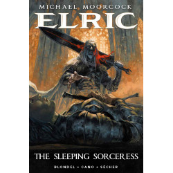 ELRIC THE SLEEPING SORCERESS 1 (OF 2) CVR E VALENTIN SECHER FOIL VAR (MR)