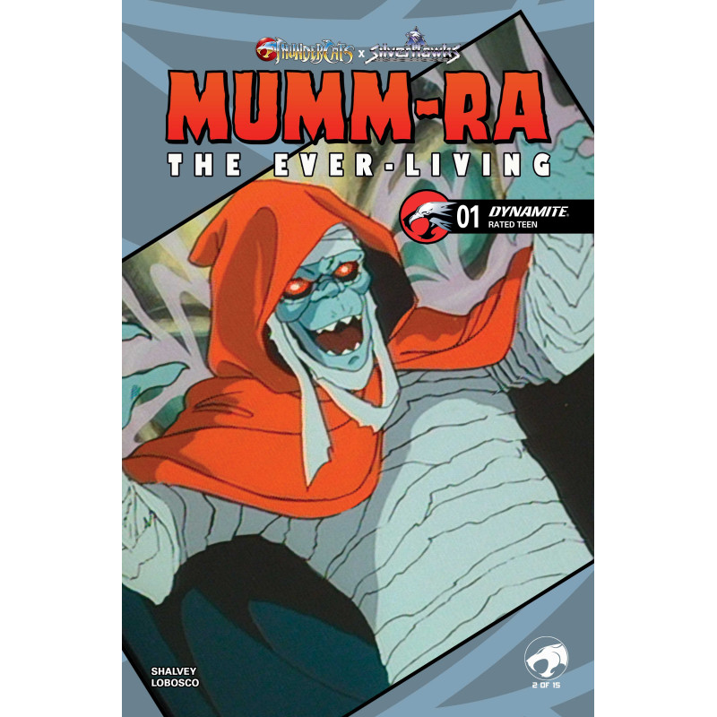 MUMMRA THE EVERLIVING 1 CVR E ANIMATION ART VAR
