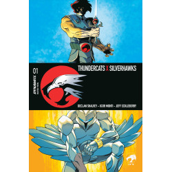 THUNDERCATS X SILVERHAWKS 1 CVR A DECLAN SHALVEY