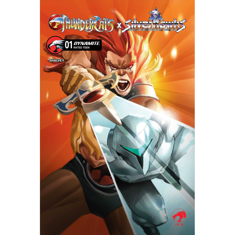 THUNDERCATS X SILVERHAWKS 1 CVR C ERIC CANETE VAR