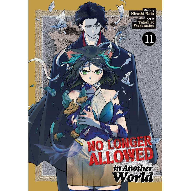 NO LONGER ALLOWED IN ANOTHER WORLD VOL. 11