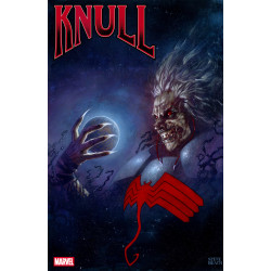 KNULL 4 STEVE BEACH VARIANT