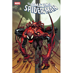 AMAZING SPIDER-MAN 27 DS