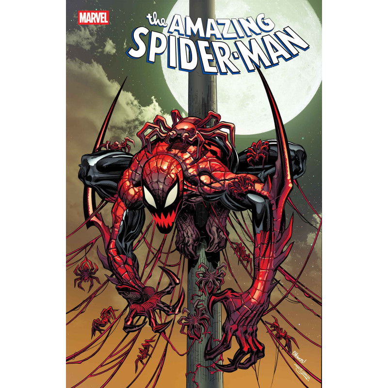 AMAZING SPIDER-MAN 27 DS