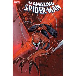 AMAZING SPIDER-MAN 27 IBAN COELLO 9-PART CONNECTING VARIANT DS