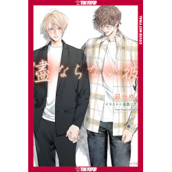 MY UNCONTROLLABLE MAN, VOLUME 4 (LIGHT NOVEL) (MY BEAUTIFUL MAN (LIGHT NOVEL))